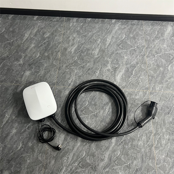 Kuinka käyttää 220V EV-latainta?