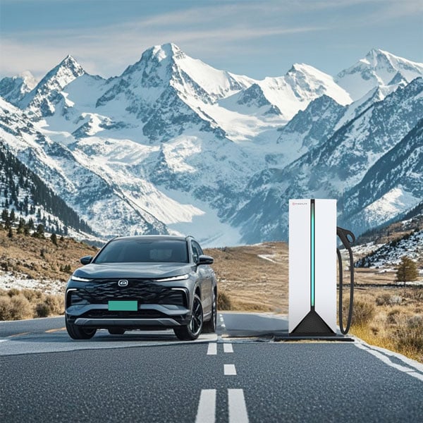Rapid Charging for a Sustainable Future