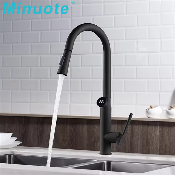 A Black Pull Out Kitchen Tap for Every Home