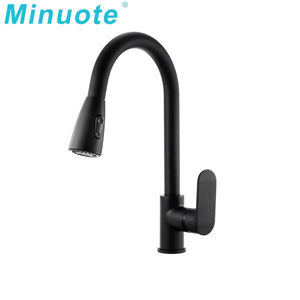 The Black Kitchen Tap with Flexible Hose