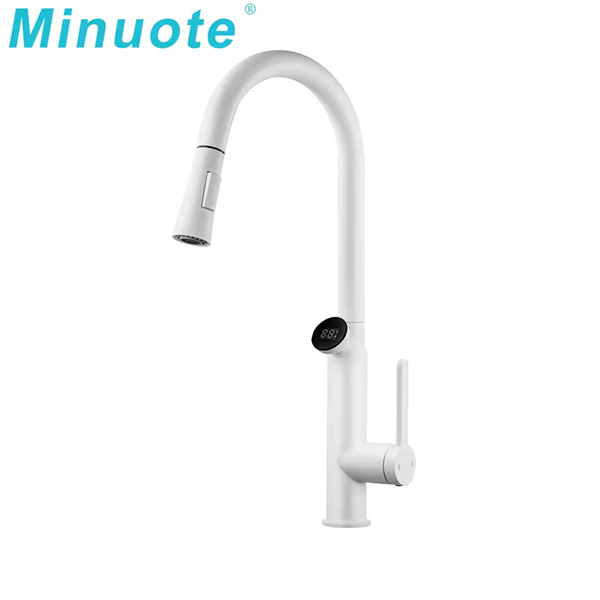 Experience the ease and flexibility of a pull-out faucet in your home