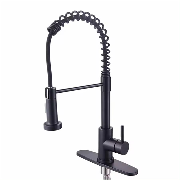 The Versatile Black Tap with Pull Out Sp