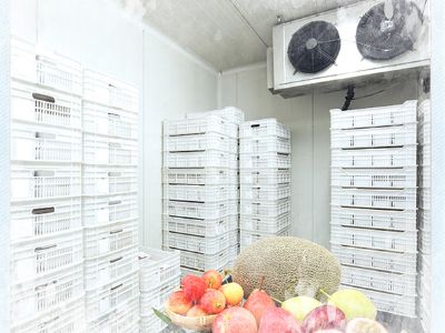 Peran Kulkas Berjalan dalam Penyimpanan Farmasi