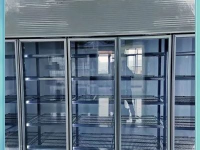 Câmara Frigorífica para Processamento de Alimentos | Garantia de 1 Ano e Serviço Vitalício