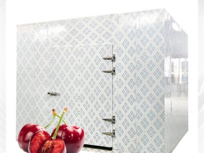 Quomodo Refrigeratores Florum Ambulandi Lucrativitatem Negotii Meliorent
