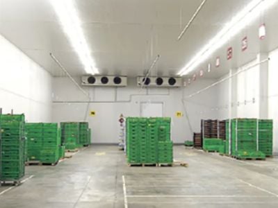 Puertas para cámaras frigoríficas industriales | Fábrica con 20 años de experiencia en fabricación