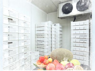Cómo una cámara frigorífica mantiene la frescura en supermercados