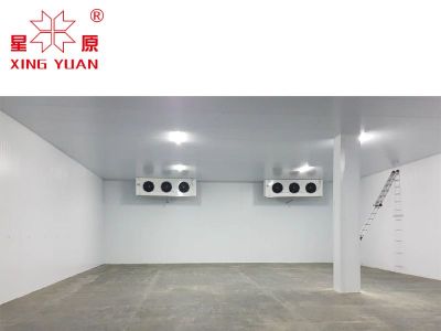 Cómo una cámara frigorífica walk-in conserva alimentos frescos en grandes volúmenes