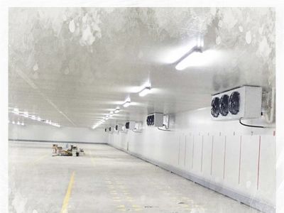 Cómo un cámara frigorífica contribuye a la cadena de suministro alimentaria