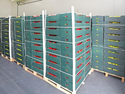 Cómo los paneles para cámaras frigoríficas soportan las salas frías personalizadas