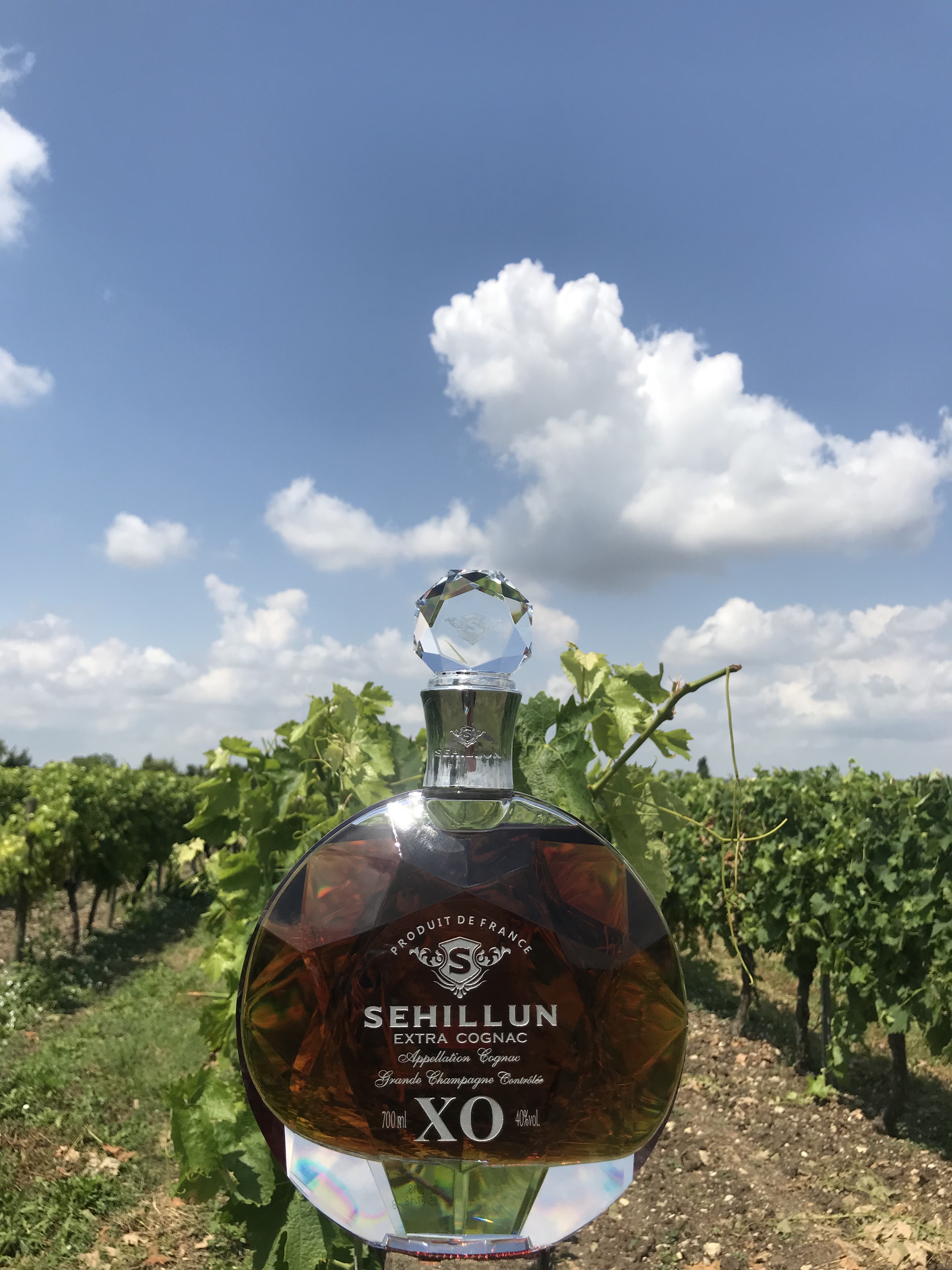glass bottles spirit liquor bottle Tequila whiskey brandy vodka RUM JIN 700ml glass bottle manufacture