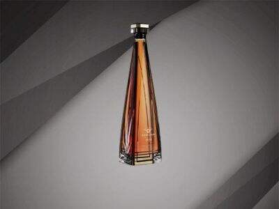 Elevate Your Brand with a Premium Gin Bottle from Tatricia Glass