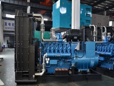 Generator Structure Type Maintenance: Different Care Needs for Portable vs. Standby Models