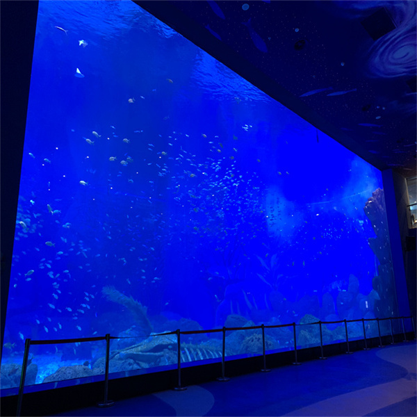 Some Cool Ideas for Unique Design Your Plexiglass Aquarium Display