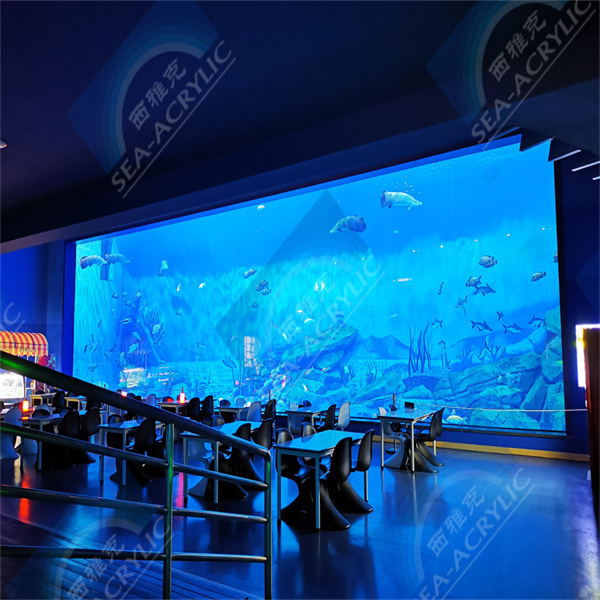 How to Properly Maintain Your Aquarium Fish Tank Acrylic?