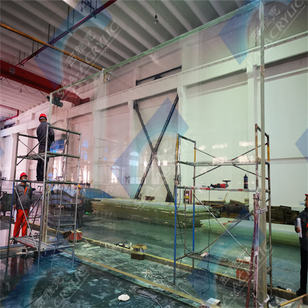 Transform your space with a stunning glass aquarium centerpiece