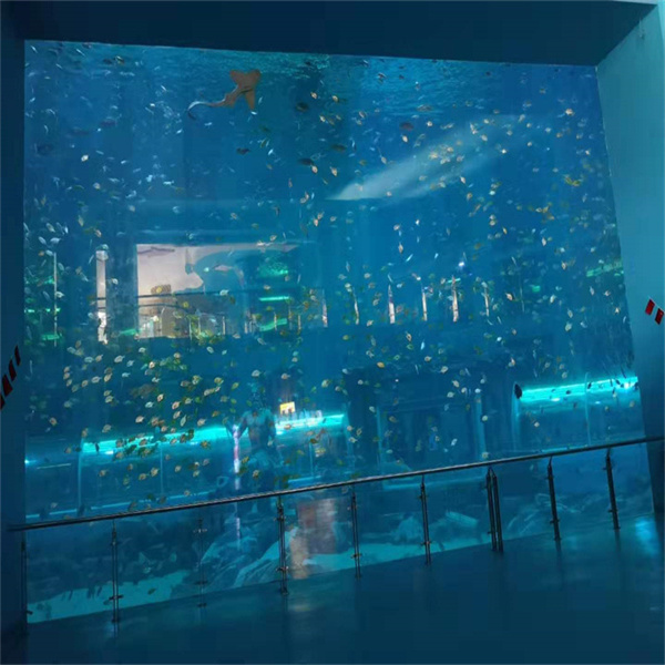 Round Aquarium is the Need of Modern Times and Your Space