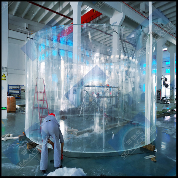 Building Your Custom Plexiglass Fish Tank