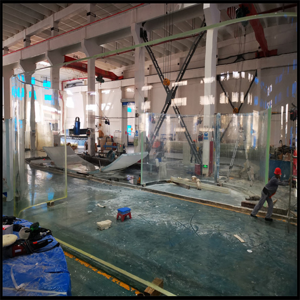 Dein Fischtank-Aquarium mit lebenden Pflanzen dekorieren