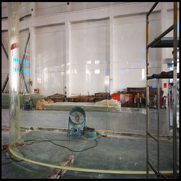 Dù bạn là người mới bắt đầu hay chuyên gia, bể cá hình trụ bằng acrylic cũng là lựa chọn tuyệt vời