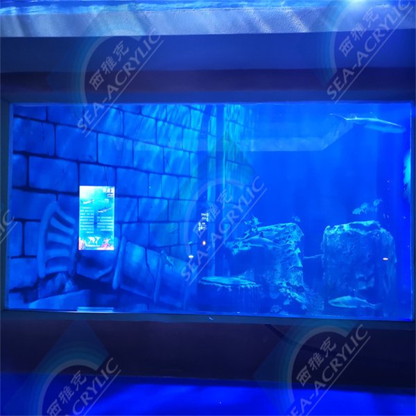 Odkrywanie czaru światła i koloru w tunelu z łukowego plexiglasu