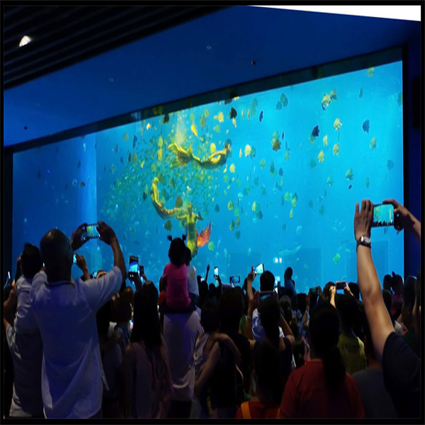 The durability and versatility of prefab acrylic aquariums