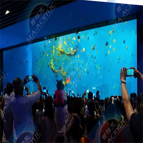 Experience the beauty of underwater life with an acrylic circle aquarium