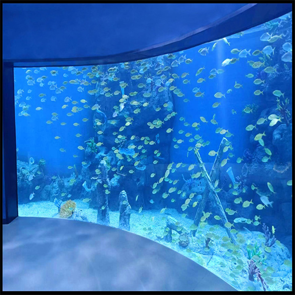 Comparaison des acryliques optimaux pour une expérience de visualisation d'aquarium exceptionnelle