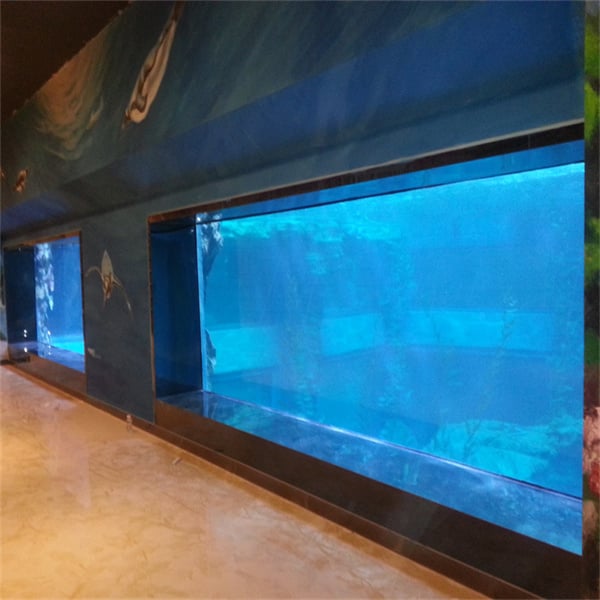 Ukuphucula ukubonakala kwe-aquarium yakho ngamacwecwe e-acrylic
