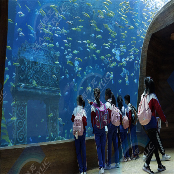 The Top Features of Acrylic Fish Tanks