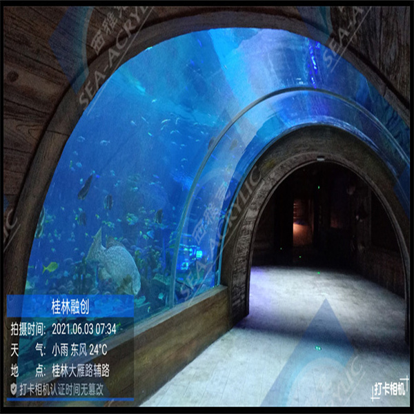 Améliorez l'apparence de votre aquarium avec la méthode acrylique