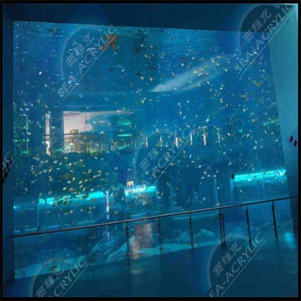 Acryl-Gang Expedition