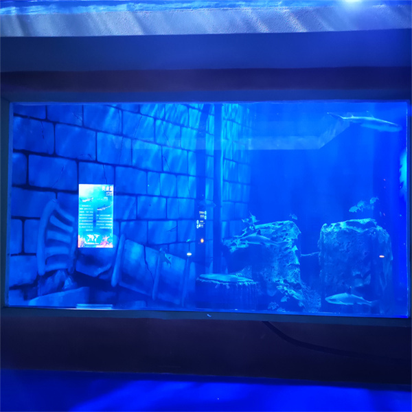 Odkrywanie nowego świata pod powierzchnią w tunelu z plexiglasu