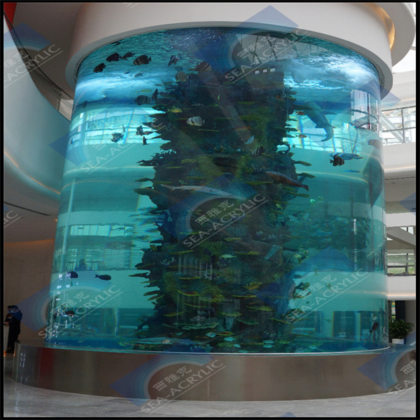 より良い視界のために作られた透明なアクリル製魚タンク