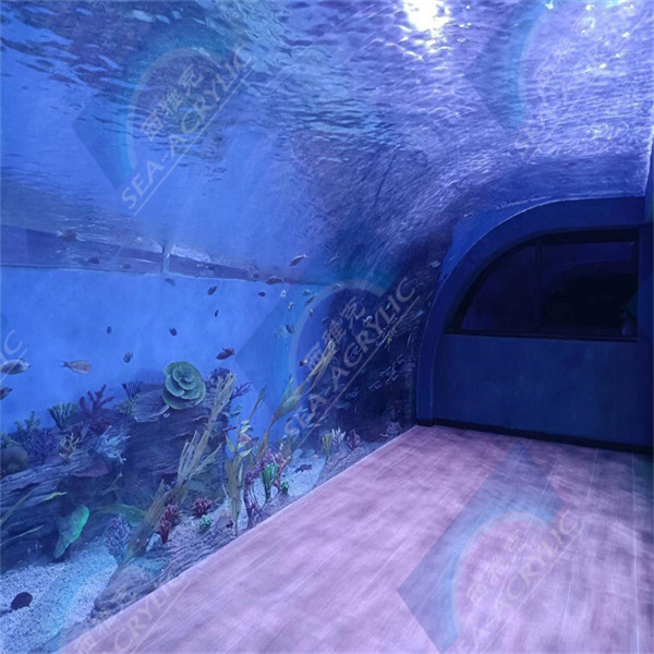 Explore the beauty of underwater life with a cylindrical acrylic aquarium.
