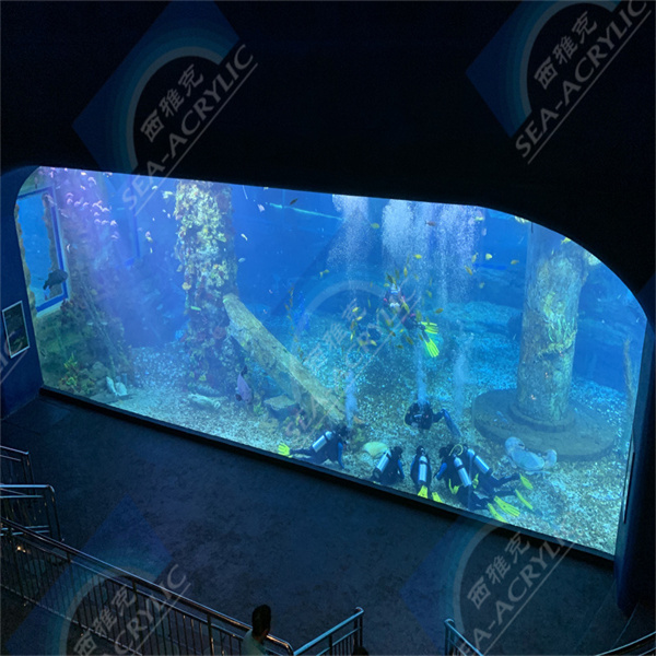 Make a Statement with Acrylic Sheets for Your Swimming Pool Design