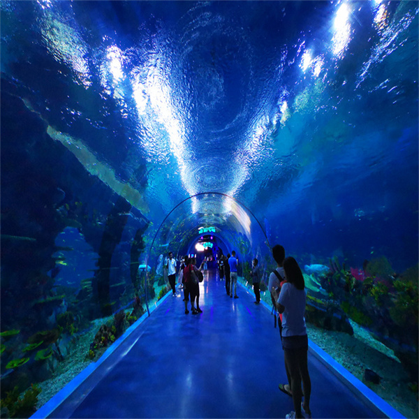 Tauchen Sie in den Luxus einer Acrylfishtank-Treppe ein.