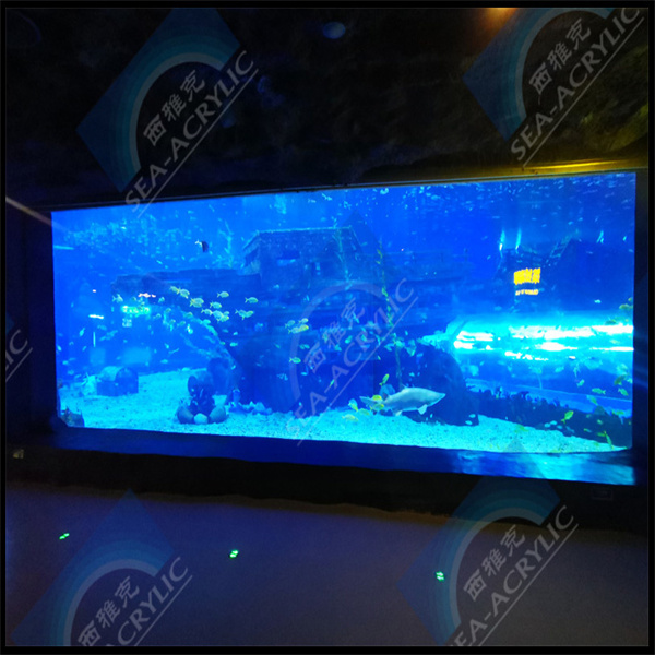 Ervaar de schoonheid en duurzaamheid van een acrylaquarium voor je schildpadden
