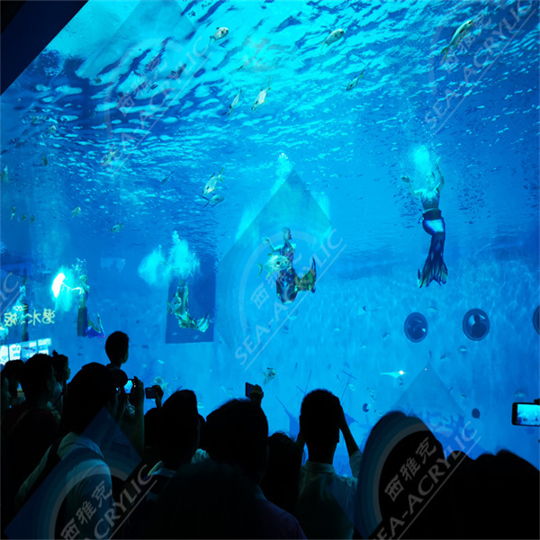 Essential Care and Maintenance for Your Aquarium Fish Tank
