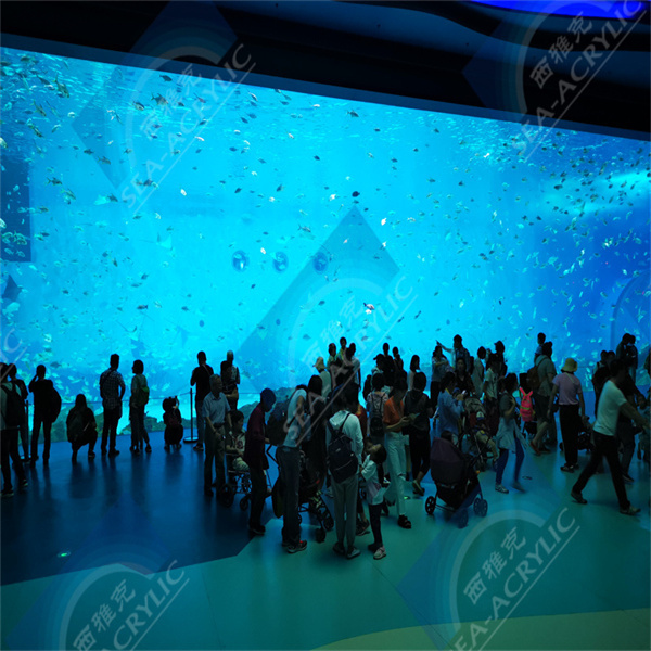 Verwandle deinen Raum mit einem prächtigen großen Acryl-Aquarium