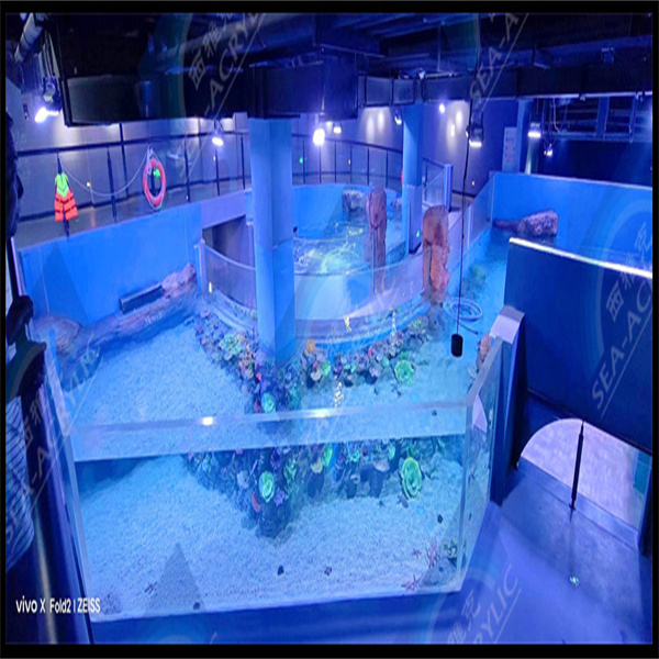 Crystal Clear Views with Acrylic Sheets in Your Pool