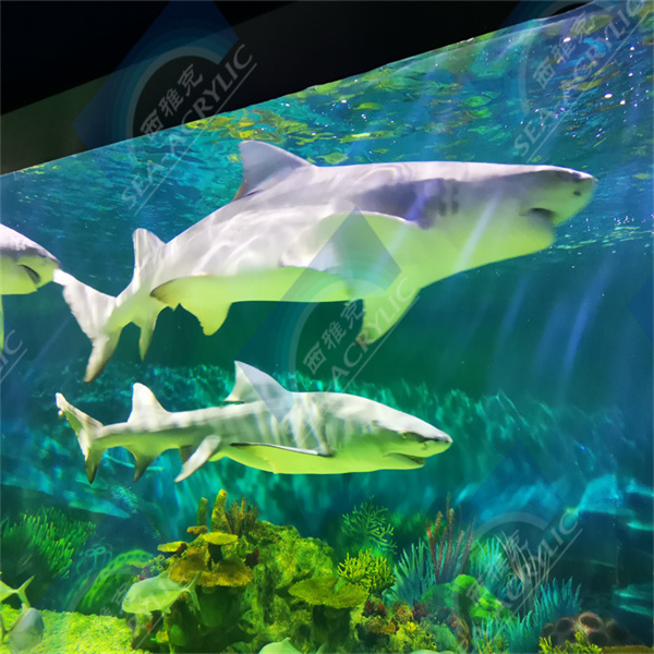 Améliorez le domicile de vos poissons avec un magnifique Aquarium Ronde en Acrylique Transparent Chinois