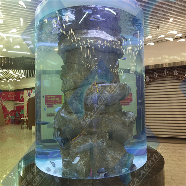 Ưu điểm