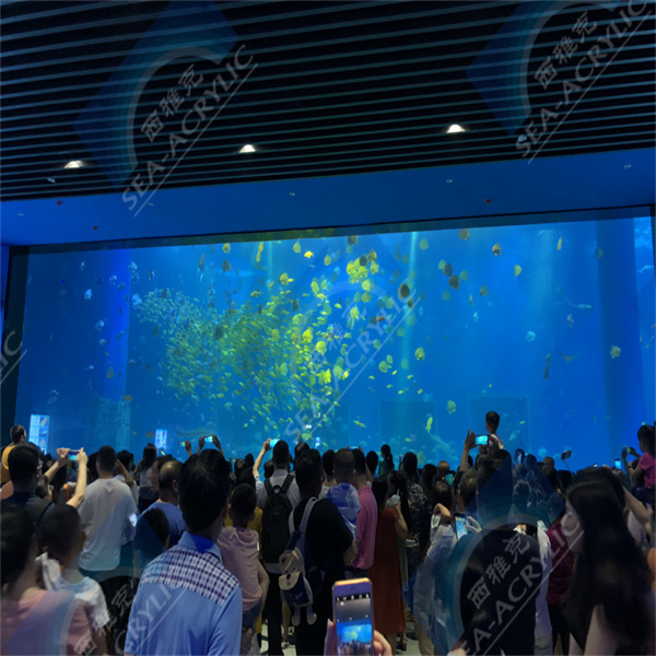 Inwestycja w basen z szkłonosika dla długoterminowego rozrywki