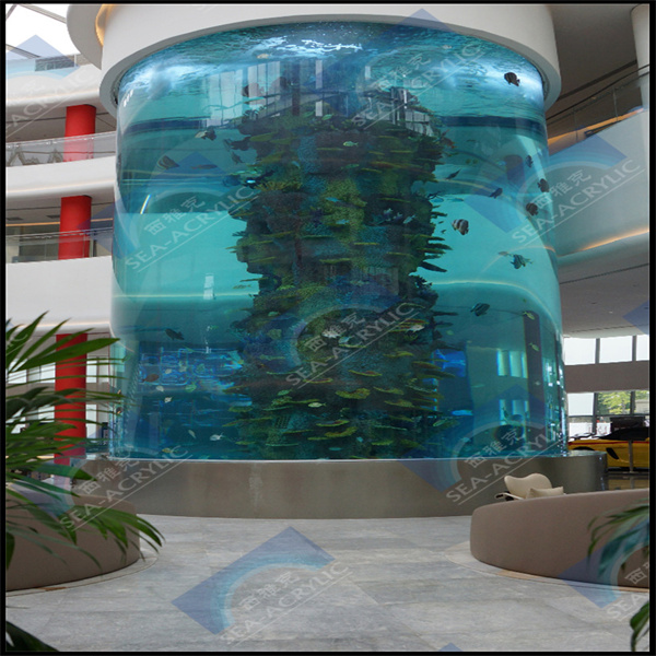 Top 10 Acryl-Fisch-Aquarien für dein Zuhause