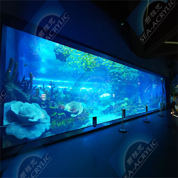 Přiveďte krásu oceánu do vašeho obývacího pokoje s velkým akrylovým akváriem.