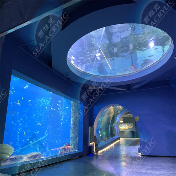 Caring for Your Plexiglass Pool: Simple Tips for Longevity