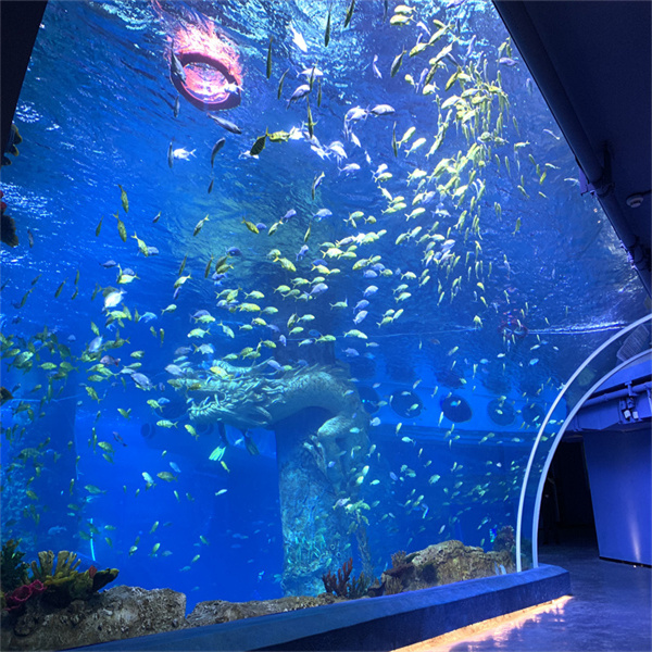 Reasons to Select a Round Acrylic Tank For Your Fish