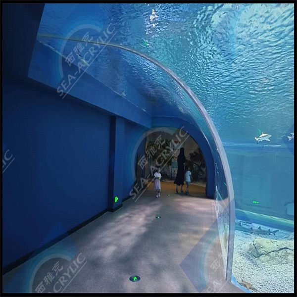 Customized Acrylic Fish Tanks for Fish Enthusiasts