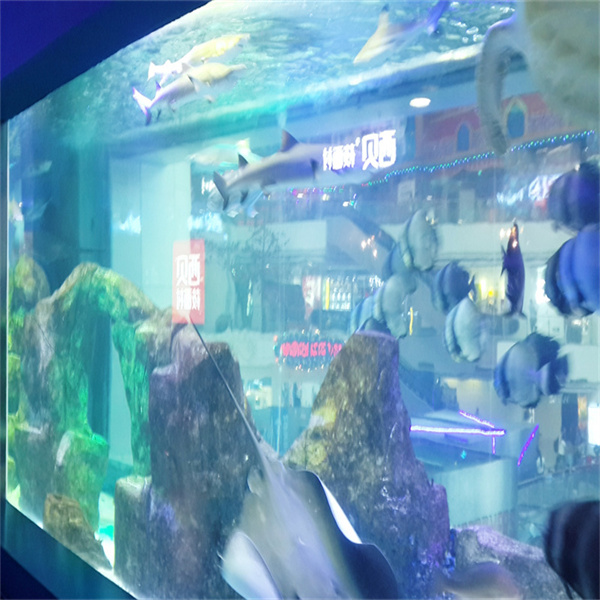 Akwarium Fluval Edge o pojemności 6 galonów - nowoczesna czarna dziwka z imponującym projektem 3D sześcianu.